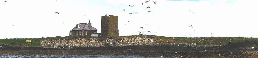 GraceDarlingA24.jpg